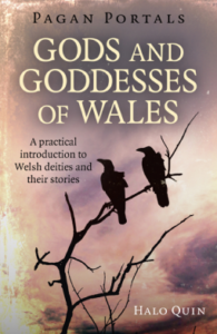 Pagan Portals: Gods and Goddesses of Wales