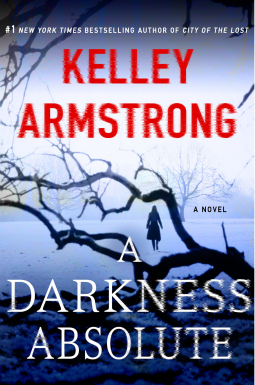 A Darkness Absolute (Casey Duncan Book 2)