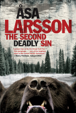 The Second Deadly Sin: The Arctic Murders (Book 5)