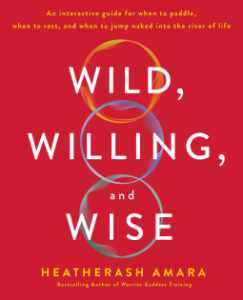 Wild Willing and Wise: An Interactive Guide for When to Paddle, When to Rest, and When to Jum Naked into the River of Life